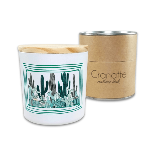 Vela Vegetal Aromática Para Jardim | Garden Cactus Verde - Tu